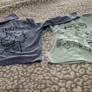 2 Boy Shirts